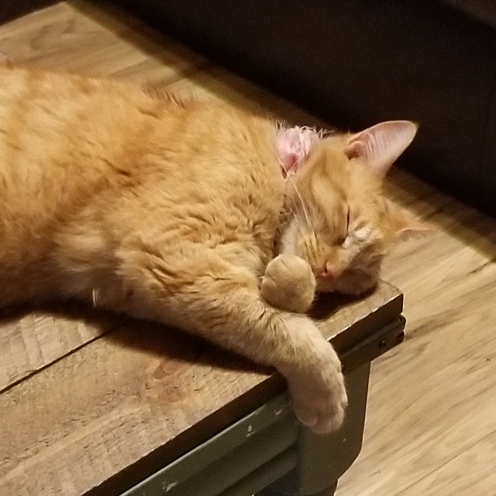 Meet your Posher, Kaitlyn